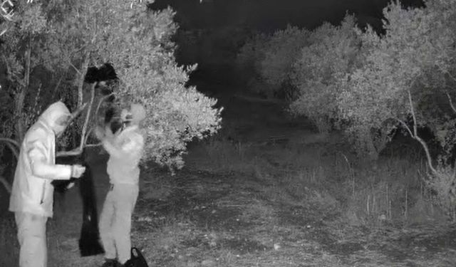 Didim’de kaçak kazı operasyonu: 4 kişi yakalandı