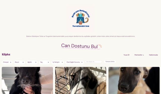 Bodrum Belediyesi yuvalandırma platformu hayata geçti