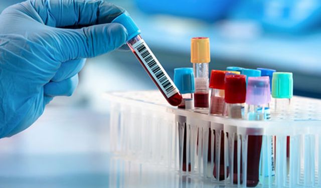 İngiltere’nin sağlık altyapısı Türk firmaya emanet