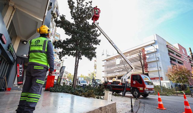 Denizli Büyükşehir Belediyesi'nde budama çalışmaları