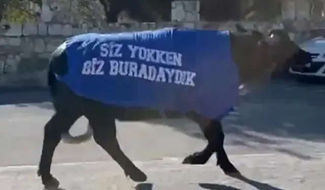 Mandalarla protesto: “Siz yokken biz vardık”