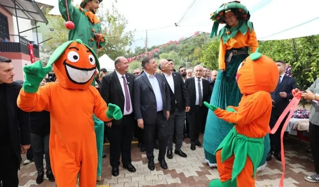 Menderes'te mandalina festivali başlıyor