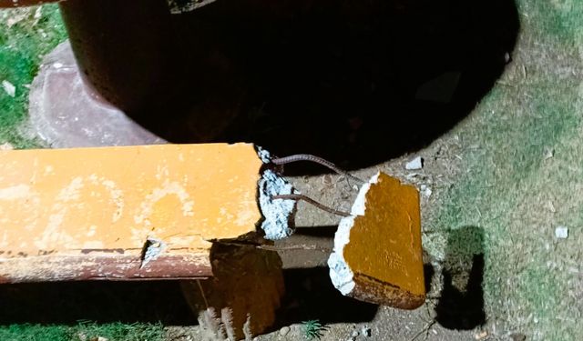 Efeler'in parklarına zarar verenler tespit edilecek