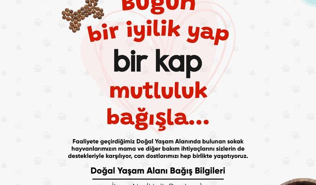 Turgutlu Belediyesinden sahipsiz dostlar için anlamlı kampanya