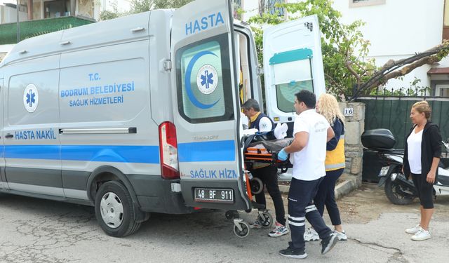 Sağlık Hizmetleri Bürosu'ndan Yarımada genelinde sağlık desteği