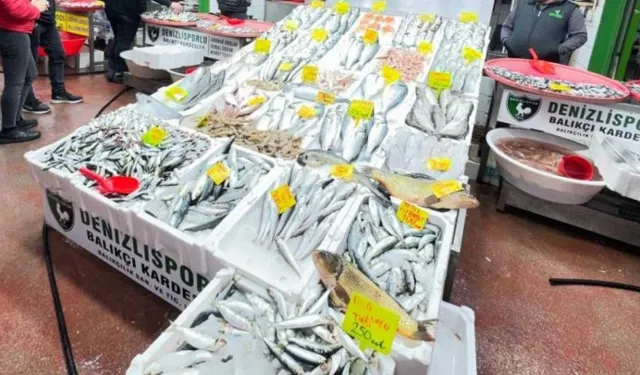 Balık sezonu geç başladı