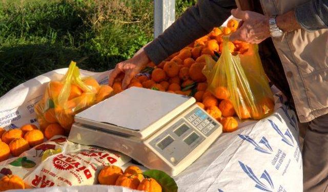 Güzelbahçe’den yerel üreticiye destek