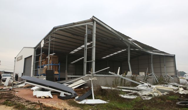 Nilüfer'de iki kaçak yapı daha yıkıldı