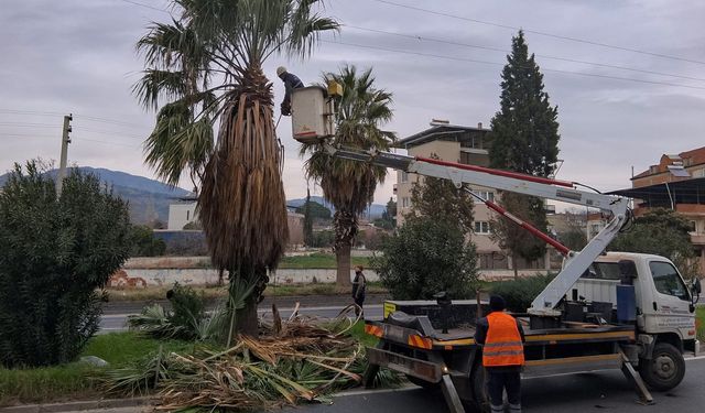 Efeler’de Umurlu Karayolu’nda budama çalışması