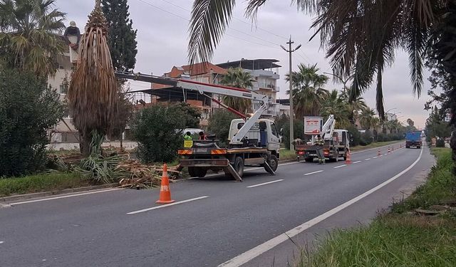 Nilüfer'de sosyolojinin kurucusu Durkheim mercek altına alındı