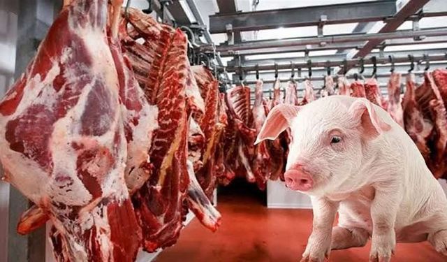 Aydın’da “Cami önünde domuz eti dağıtıldı” iddiası gündem oldu