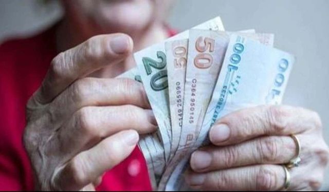 Şubat ayı yaşlı ve engelli aylıkları hesaplara yatırılmaya başladı