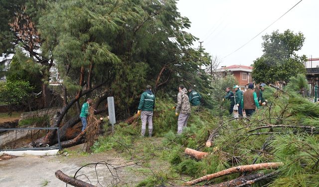 Kuşadası’nda ekiplerden kritik müdahale