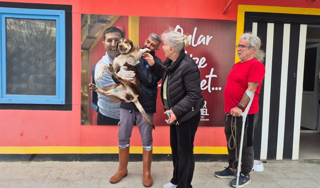 Sevgi kazandı: ‘Lady’ mutlu sona ulaştı