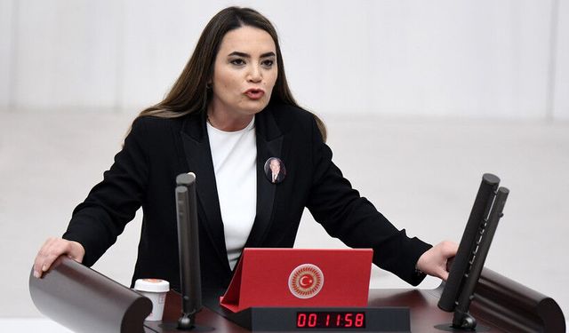 Türkeş’ten Bahçeli’ye ‘Öcalan’ tepkisi: Statüsü bellidir