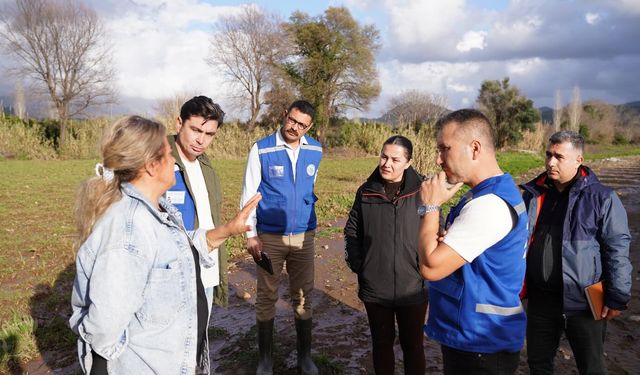 Muğla Büyükşehir'den sel sonrası üreticiye destek