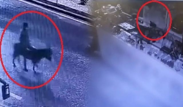 Forkliftle Soydu, Eşekle Kaçtı: Kuyumcu Hırsızı Yakalandı