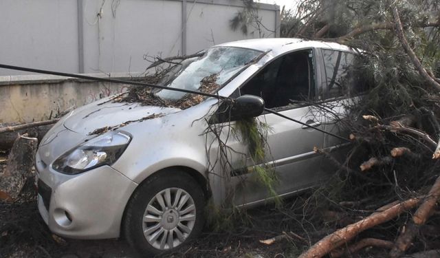 Fırtına İzmir’i vurdu: Ağaç devrildi, deniz taştı