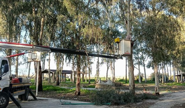 Efeler'de güvenli yeşil alan seferberliği