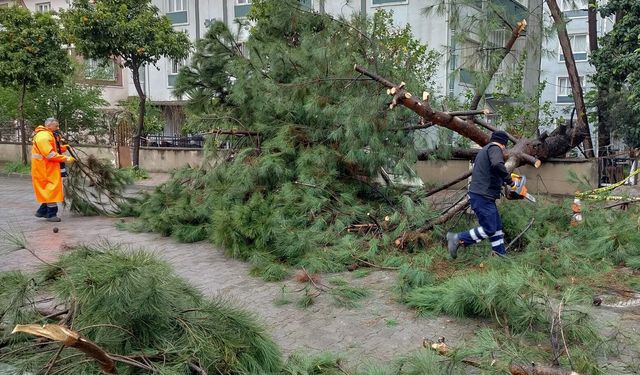 Efeler'de sağanak yağışın izleri siliniyor