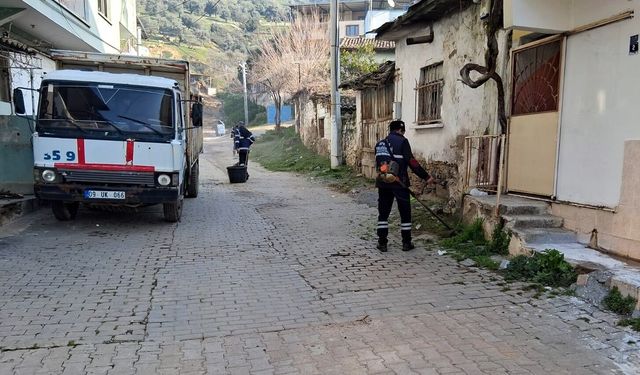 Efeler Belediyesi'nin yeşil ekipleri çalışmalarına devam ediyor