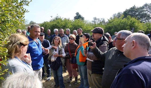 Bodrum'da ağaç budama eğitimi düzenlendi