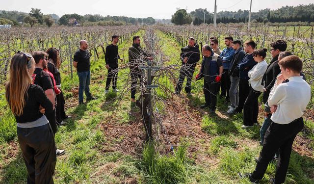 Buca’nın bağlarında geleceğin ziraat mühendisleri yetişiyor