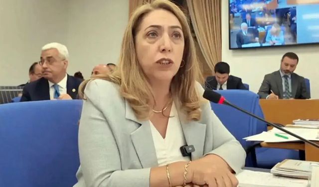 DEM Partili Aydeniz TBMM İdare Amirliği’nden istifa etti