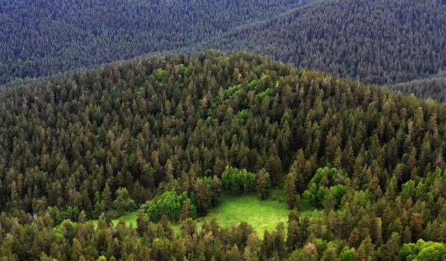 Milli parklar kanun teklifi TBMM'de kabul edildi