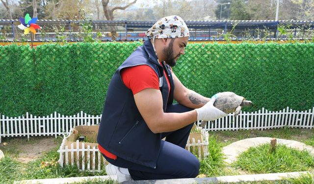 Evcil hayvan bakım ve rehabilitasyon merkezi'nin yeni sakinleri için özel yaşam alanı