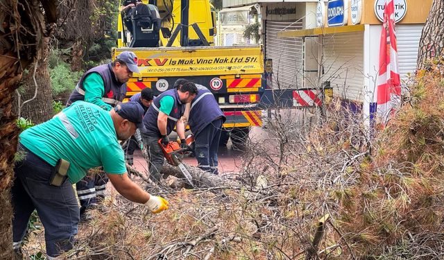 Efeler Belediyesi'nin ekipleri çalışıyor
