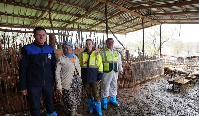 Çavuşoğlu’nun hayvancılık hamlesine üreticiden tam not