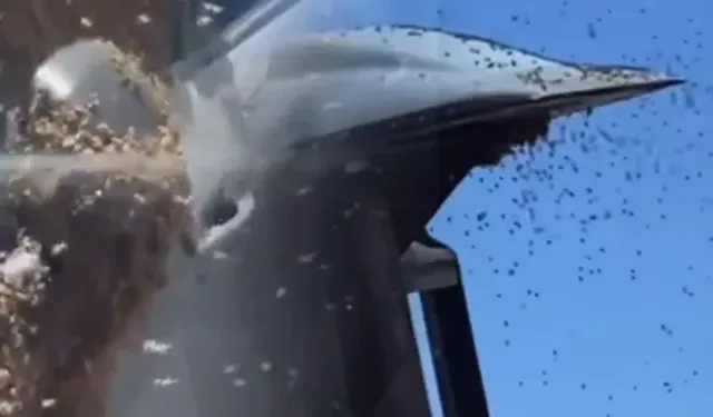 İsrail’de dev arı sürüleri hava trafiğini durdurdu