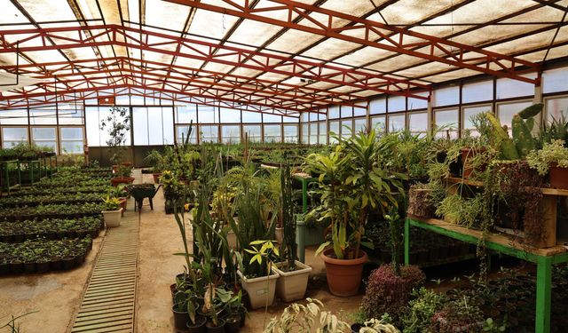 Milyonluk tasarrufun adresi: Marmaris