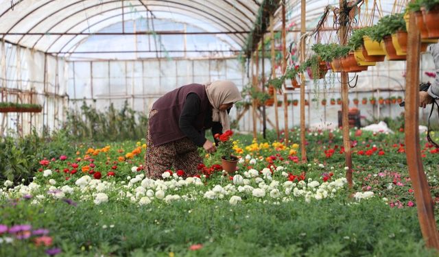 Muğla’da üretici kadınlar meclisi kuruluyor