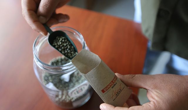 Muğla’nın ata tohumları ülke toprakları ile Buluşuyor