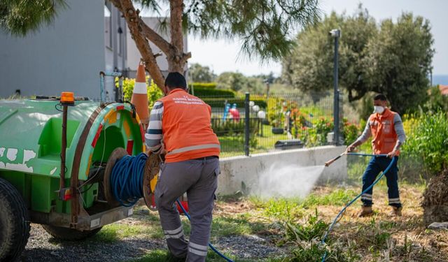 Güzelçamlı'dan Kuştur'a kıyı şeridine yoğun mesai
