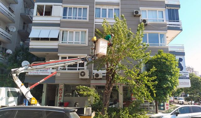 Efelerde kapsamlı bakım çalışmaları sürüyor
