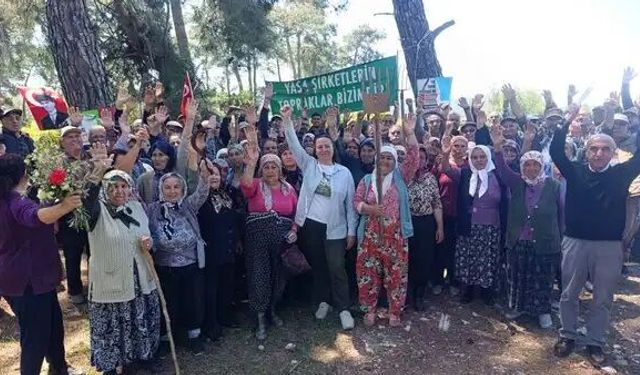 İstanbul Barosu’ndan Akbelen çağrısı