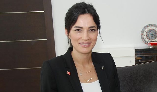 AKP’li vekil Sarıbaş’ın oğlu hakkında silah iddiası
