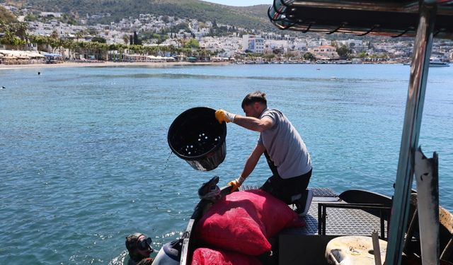 Deniz dibi temizliği Kumbahçe'de başladı