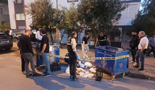 Buca Belediyesi'nden insanlık dışı olaya hızlı müdahale