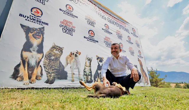 Denizli Büyükşehir’den sokak hayvanlarına çözüm hamlesi