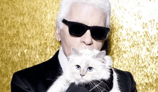 Lagerfeld’in kedisi mirasını 7 yıldır alamadı