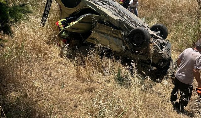 Arının neden olduğu kazada 1 kişi hayatını kaybetti