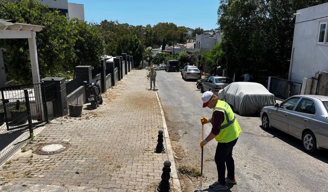 Bodrum'da ot temizliği devam ediyor