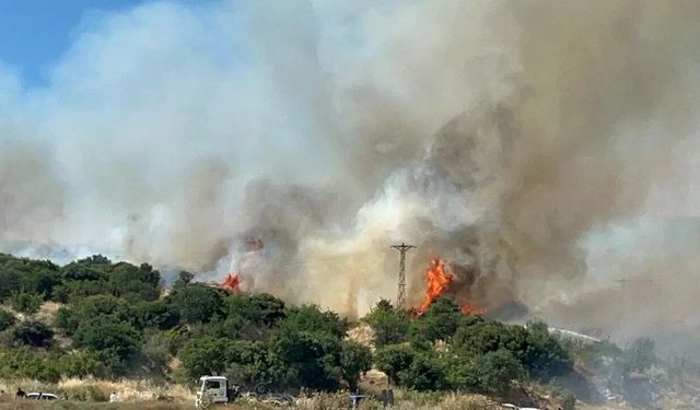 Çanakkale'de Orman Yangınına Havadan ve Karadan Müdahale