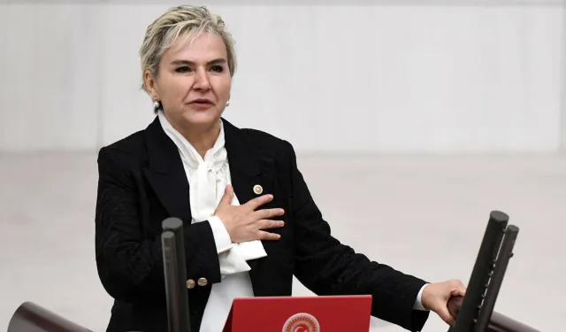Milletvekili Nimet Özdemir, CHP'den istifa etti