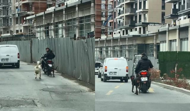 Köpeği Motosikletle Koşturana Para Cezası