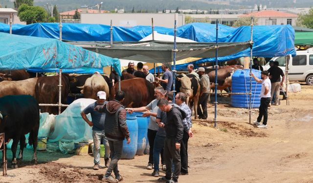'Sürekli ithalat besiciyi bitirdi'